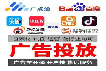 SEM主管实战：案例分析与优化策略